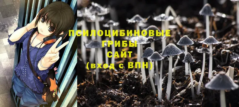 гидра как войти  Карпинск  Псилоцибиновые грибы Magic Shrooms 